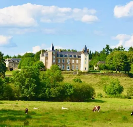 La Chambre Verte - Chateau De La Chauveliere Homestay *